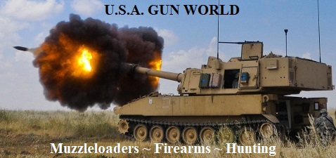 gun world